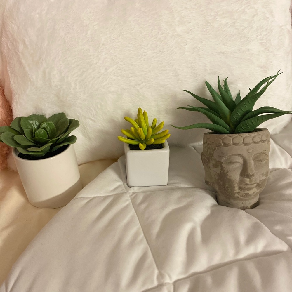 Fake Decorative Plants